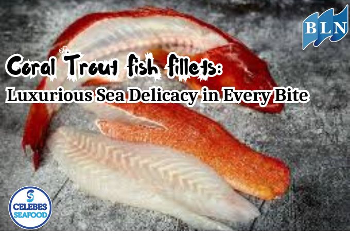 Coral Trout Fish Fillets: Luxurious Sea Delicacy in Every Bite